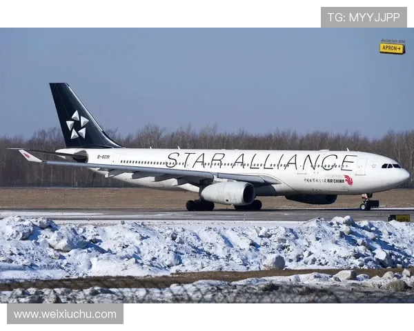 星空联盟引领全球航空协作共建无缝智慧出行新生态与可持续发展未来